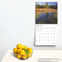 2025 Calendars|BrownTrout 2025 South Carolina Wild & Scenic 12