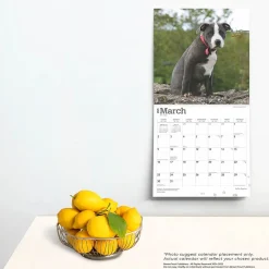2025 Calendars|BrownTrout 2025 Staffordshire Bull Terriers Puppies 12