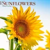 2025 Calendars|BrownTrout 2025 Sunflowers 12" x 12" Monthly Square Wall Calendar (9781975477837)