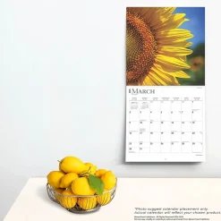 2025 Calendars|BrownTrout 2025 Sunflowers 12