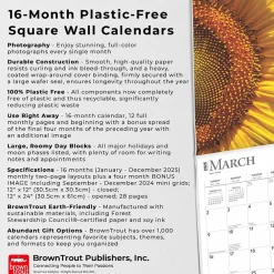 2025 Calendars|BrownTrout 2025 Sunflowers 12