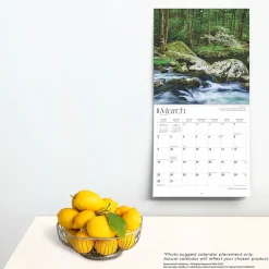 2025 Calendars|BrownTrout 2025 Tennessee Wild & Scenic 12
