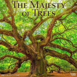 2025 Calendars|BrownTrout 2025 The Majesty of Trees 12" x 12" Monthly Square Wall Calendar (9781975477394)