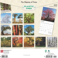 2025 Calendars|BrownTrout 2025 The Majesty of Trees 12" x 12" Monthly Square Wall Calendar (9781975477394)
