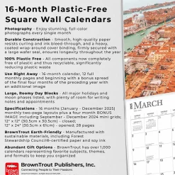 2025 Calendars|BrownTrout 2025 Venice 12