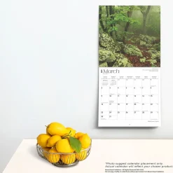 2025 Calendars|BrownTrout 2025 Virginia Wild & Scenic 12