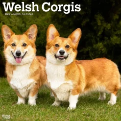 2025 Calendars|BrownTrout 2025 Welsh Corgis 12" x 12" Monthly Wall Calendar (9781975477950)