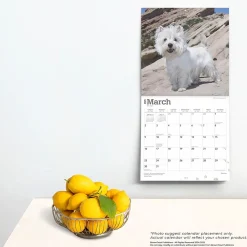 2025 Calendars|BrownTrout 2025 West Highland White Terriers 12