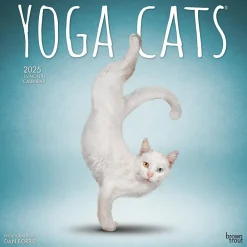 2025 Calendars|BrownTrout 2025 Yoga Cats 12" x 24" Monthly Square Wall Calendar, (9781975479862)