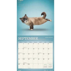 2025 Calendars|BrownTrout 2025 Yoga Cats 12