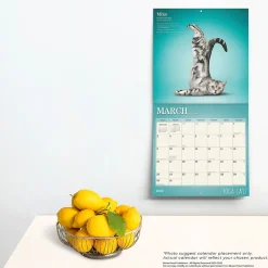 2025 Calendars|BrownTrout 2025 Yoga Cats 12