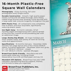 2025 Calendars|BrownTrout 2025 Yoga Cats 12