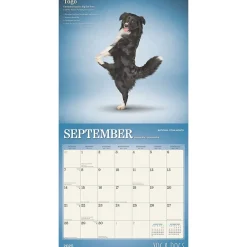 2025 Calendars|BrownTrout 2025 Yoga Dogs 12