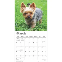 2025 Calendars|BrownTrout 2025 Yorkshire Terriers 12