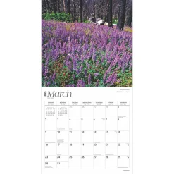 2025 Calendars|BrownTrout 2025 Yosemite 12