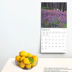 2025 Calendars|BrownTrout 2025 Yosemite 12