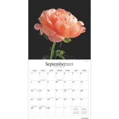 2025 Calendars|Brush Dance 2025 In the Garden 12