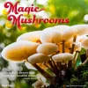 2025 Calendars|Brush Dance 2025 Magic Mushrooms 12" x 12" Monthly Square Wall Calendar (9781975478698)