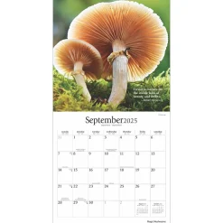 2025 Calendars|Brush Dance 2025 Magic Mushrooms 12