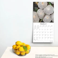 2025 Calendars|Brush Dance 2025 Magic Mushrooms 12