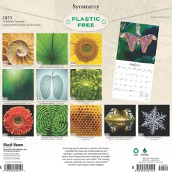 2025 Calendars|BrownTrout 2025 Brush Dance Symmetry 12" x 12" Monthly Wall Calendar (9781975481445)