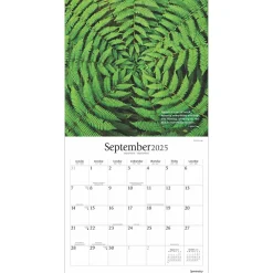 2025 Calendars|BrownTrout 2025 Brush Dance Symmetry 12