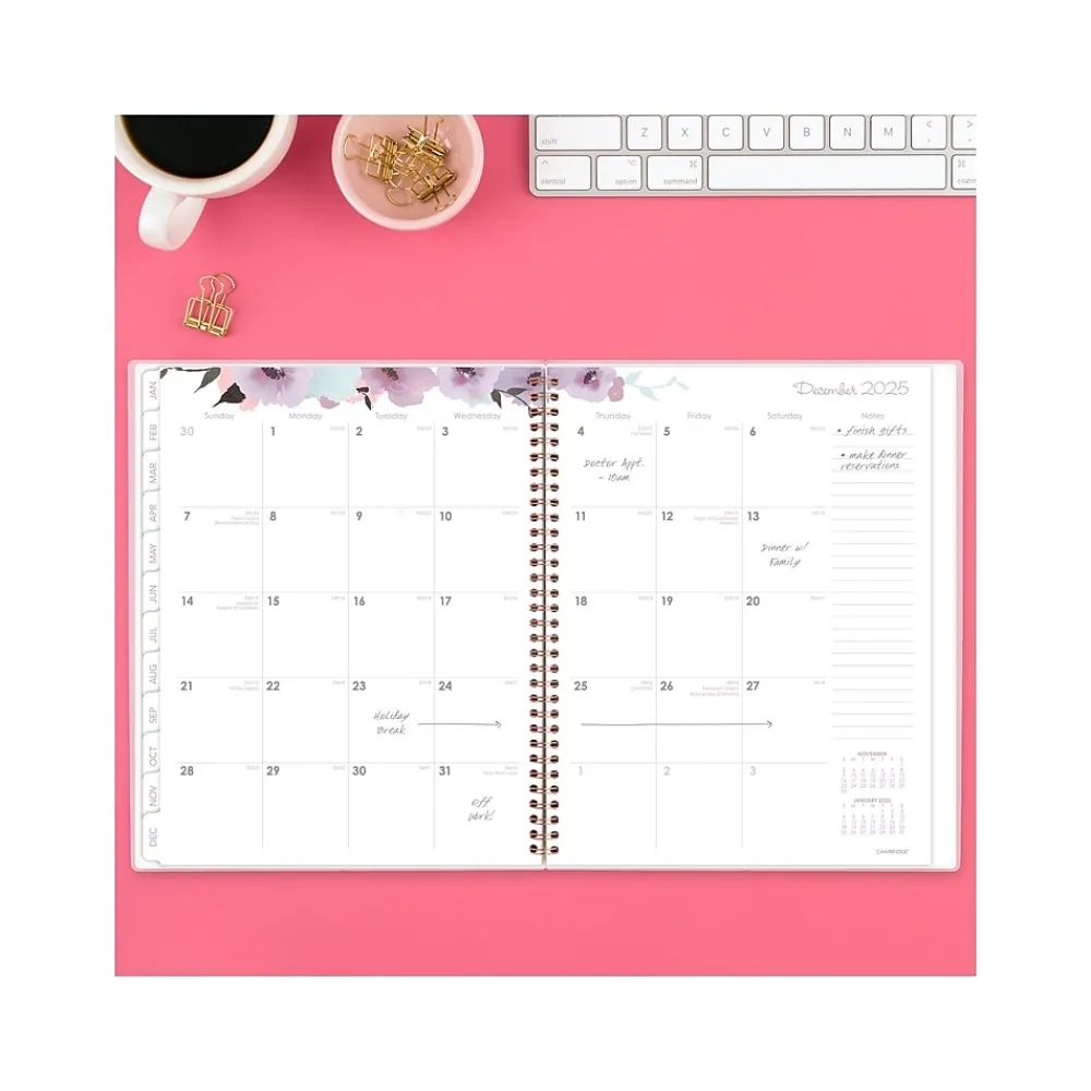 2025 Planners|Cambridge 2025 Mina 8.5" x 11" Weekly & Monthly Planner, Poly Cover, Multicolor (1134-905-25)