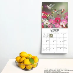 2025 Calendars|Hopper Studios 2025 Feathered Friends Amis a Plumes 12