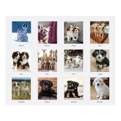 2025 Calendars|House of Doolittle 2025 Earthscapes Puppies 8.5" x 4.25" Monthly Desk Calendar (3659-25)