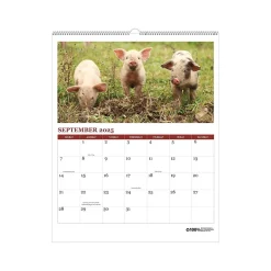 2025 Calendars|House of Doolittle 2025 Farm Life 11