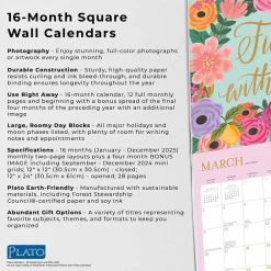 2025 Calendars|BrownTrout 2025 Plato Bonnie Marcus 12