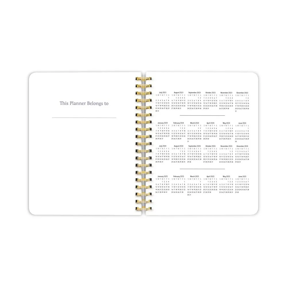 Academic Planners|Plato 2024 Crackled Blush 6" x 7.75" Academic & Calendar Weekly Planner, Paperboard Cover, Multicolor (9781975457419)