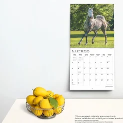 2025 Calendars|Plato 2025 Magnificent Horses 12