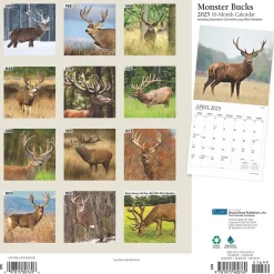 2025 Calendars|BrownTrout 2025 Plato Monster Bucks 12" x 24" Monthly Square Wall Calendar, (9781975480769)