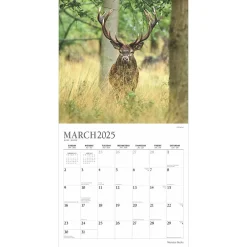 2025 Calendars|BrownTrout 2025 Plato Monster Bucks 12