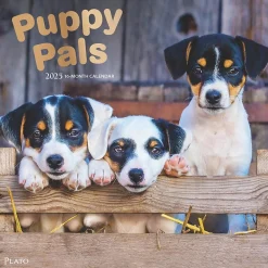 2025 Calendars|Plato 2025 Puppy Pals 12" x 12" Monthly Square Wall Calendar (9781975478988)