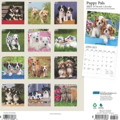 2025 Calendars|Plato 2025 Puppy Pals 12" x 12" Monthly Square Wall Calendar (9781975478988)