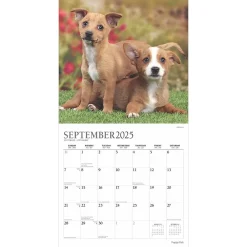 2025 Calendars|Plato 2025 Puppy Pals 12