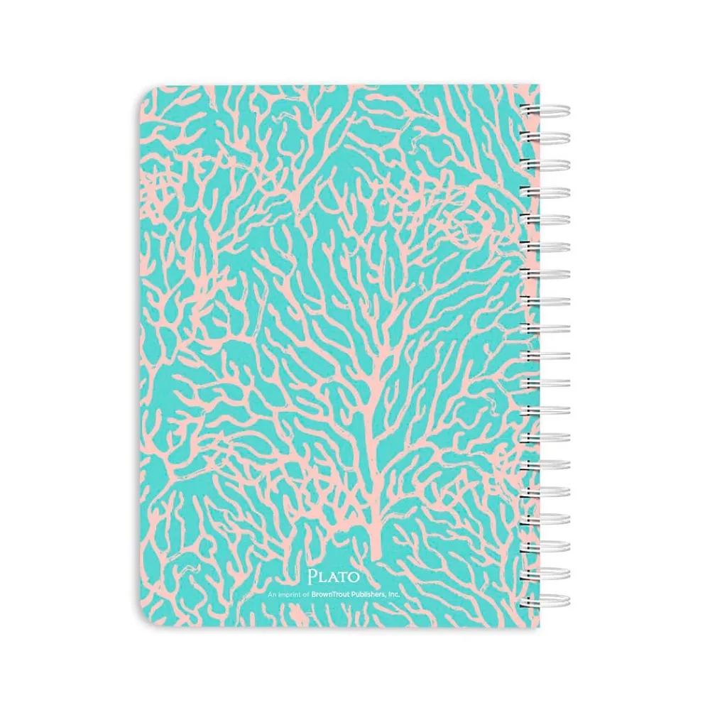 Academic Planners|Plato 2024 Seaside Currents 6" x 7.75" Academic & Calendar Weekly Planner, Paperboard Cover, Blue/Pink (9781975470579)