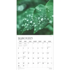 2025 Calendars|Plato 2025 Simplicity 12