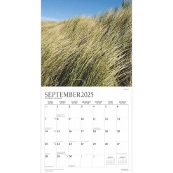 2025 Calendars|Plato 2025 Simplicity 12