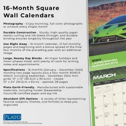 2025 Calendars|Plato 2025 Supercars 12
