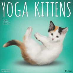 2025 Calendars|Plato 2025 Yoga Kittens 12" x 12" Monthly Wall Calendar (9781975480134)
