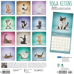 2025 Calendars|Plato 2025 Yoga Kittens 12" x 12" Monthly Wall Calendar (9781975480134)