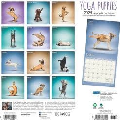 2025 Calendars|Plato 2025 Yoga Puppies 12" x 12" Monthly Wall Calendar (9781975480141)
