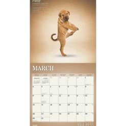 2025 Calendars|Plato 2025 Yoga Puppies 12