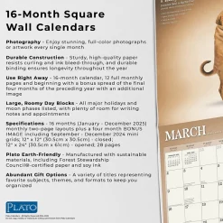 2025 Calendars|Plato 2025 Yoga Puppies 12
