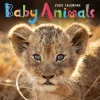 2025 Calendars|TF Publishing 2025 12" x 12" Baby Animals Wall Calendar (25-1000)