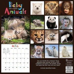 2025 Calendars|TF Publishing 2025 12" x 12" Baby Animals Wall Calendar (25-1000)