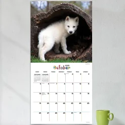 2025 Calendars|TF Publishing 2025 12